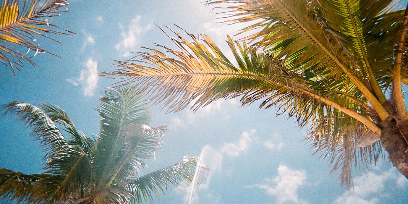 Florida_scene