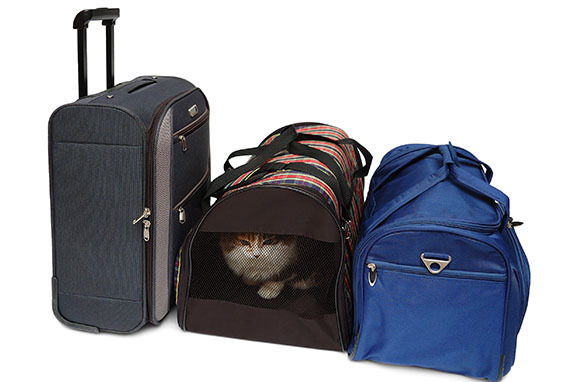 Travel pet carrier
