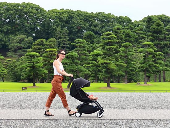 stroller on board plane