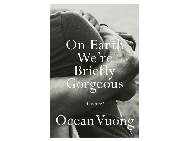 On Earth We're Briefly Gorgeous: A Novel.