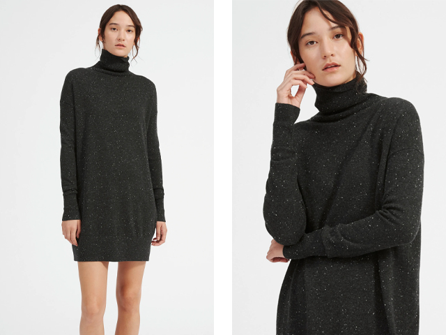 everlane sweater dress