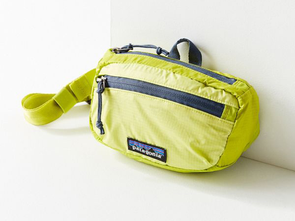 Patagonia Lightweight Travel Mini Belt Bag