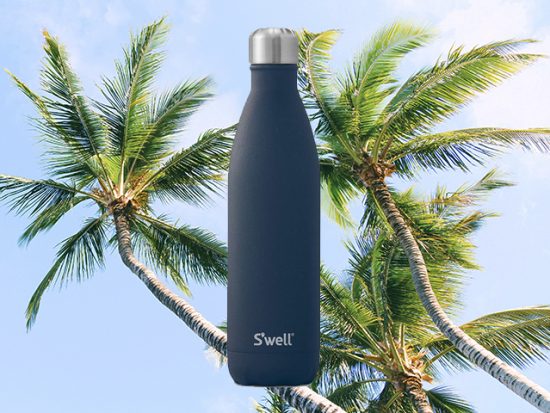 Dark Blue Swell Insultaed Water Bottle Palm Trees