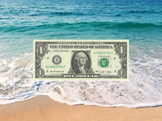 dollar bill with ocean