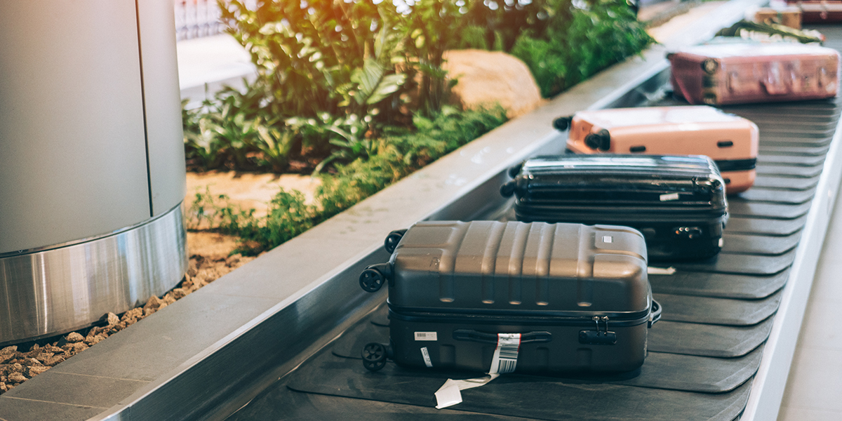 bag exterior - baggage carousel