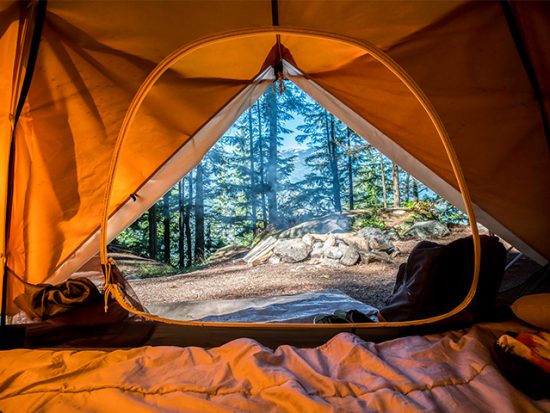 View from inside a tent looking into woods