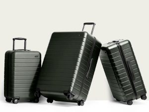 Luggage Buying Guide: How to Choose and Buy the Perfect Luggage | What ...