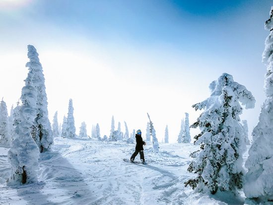 Person Snowboarding in Snowy Forest