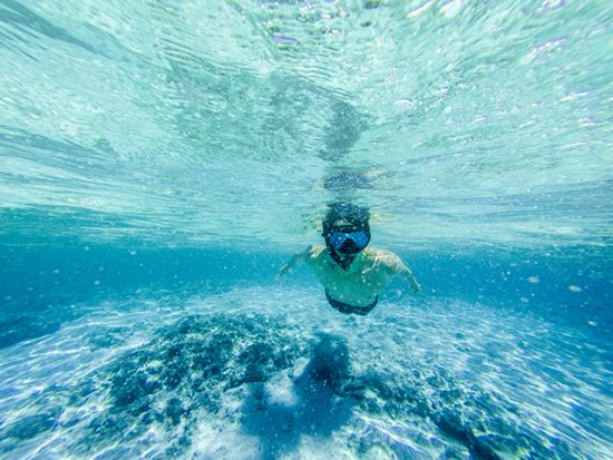Man Snorkeling in Honolulu