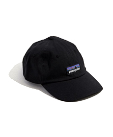 Patagonia Logo Baseball Hat