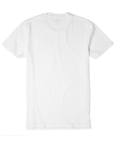 Everlane Cotton Crew TShirt.