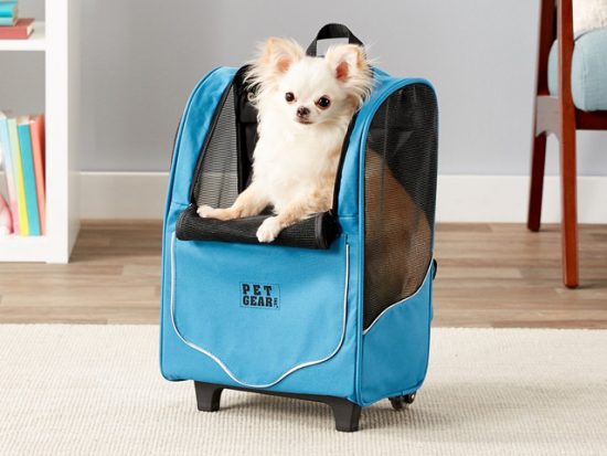 Pet Gear I-GO2 Sport, Misty Blue.