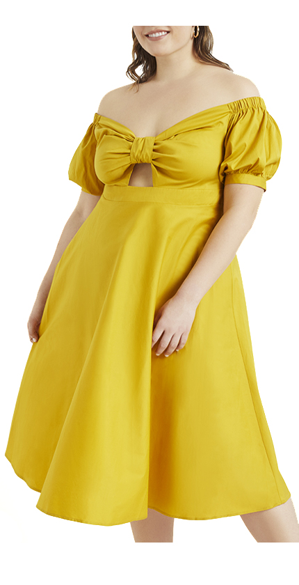 Off the Shoulder Cinched Fit and Flare Dress.
