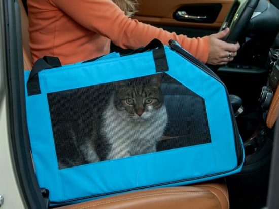 Pet Gear Signature Pet Car Seat & Carrier.