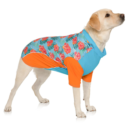 PlayaPup Dog Sun Shirt (UPF 50+), Tropical Floral Blue.