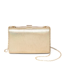 Target Estee & Lilly Metallic Rectangle Minaudiere Clutch.