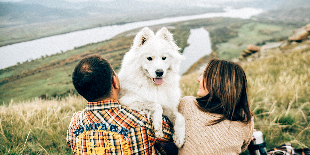 Ultimate Packing Checklist for Traveling With Your Dog.