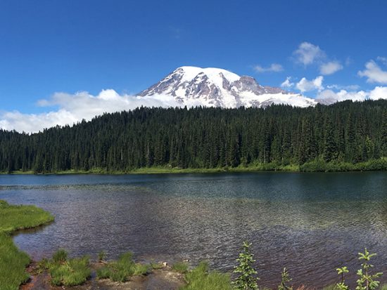 View of a lake and Mt. Rainier in Seattle.