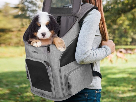 Ytonet Dog Backpack.