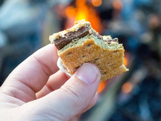 Man holding a smores in front of a camp fire.