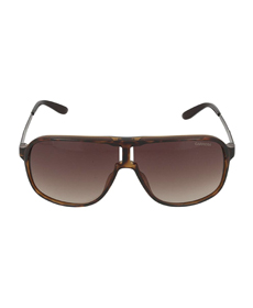 Carrera Men's New Safaris Aviator Sunglasses.