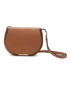 Cuyana Saddle Bag.