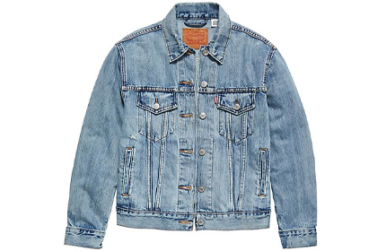 Free People Levi's Ex-Boyfriend Trucker Denim Jacket.