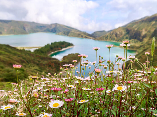 View of a lake and flowers in the Azores.