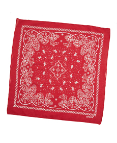 Paisley Bandana.