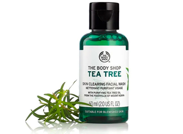 Tea Tree Skin Clearing Facial Wash.
