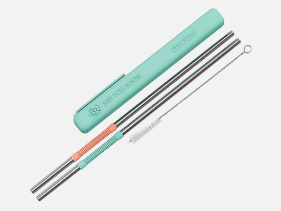 Asobu Eco-friendly Reusable Straws, Mint/Coral.