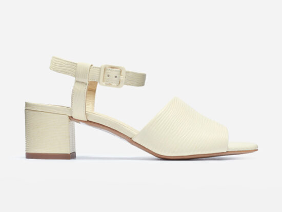 Everlane The Block Heel Sandal.